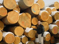 �����ɈDƬ��Ԕ����B