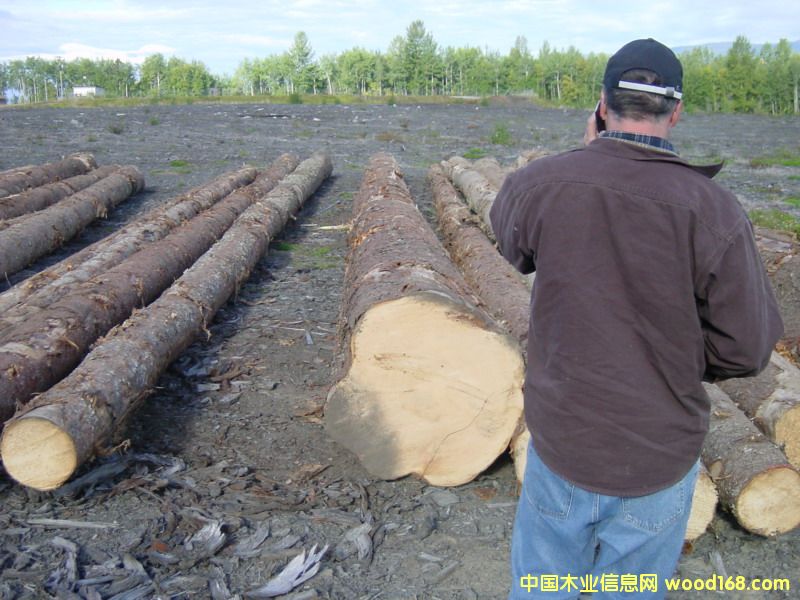 ��ɼ�DƬ��Ԕ����B