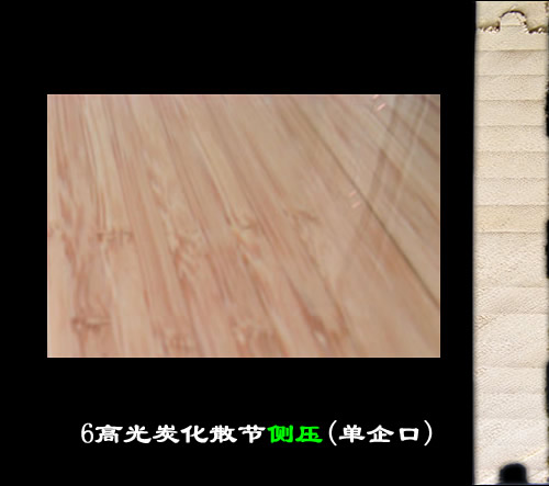 366������ذ�-�߹�̼����Ԕ��(x��)��B