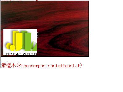 ̴ľ ����̴���t̴����Ԕ��(x��)��B