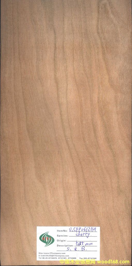 ���ҵ�Ԕ����B