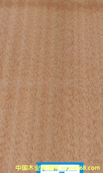 ��(y��u)�|(zh��)ľƤ���t���ҵ�Ԕ��(x��)��B