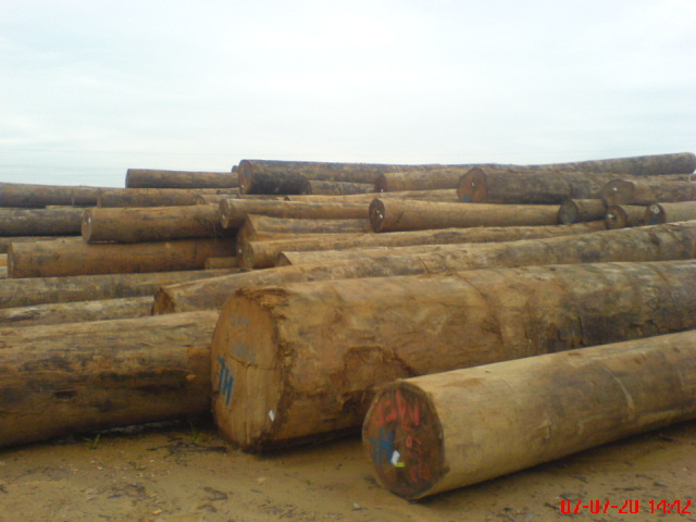 ľ�ĵ�Ԕ��(x��)��B