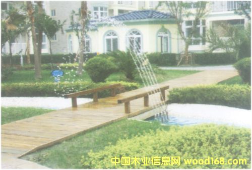 ����ľ�ĵ�Ԕ����B