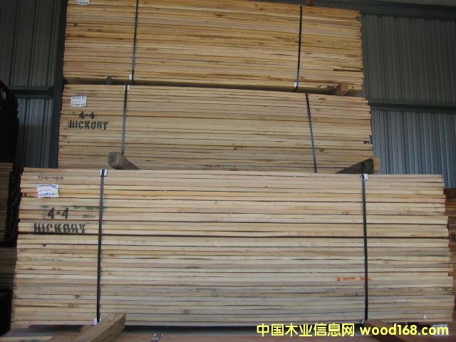 ɽ����hickory��Ԕ����B