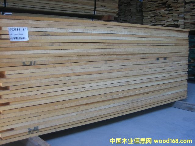 Ӳ��hard maple��Ԕ����B