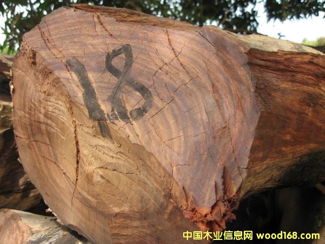 ������ԭľ��Ԕ��(x��)��B