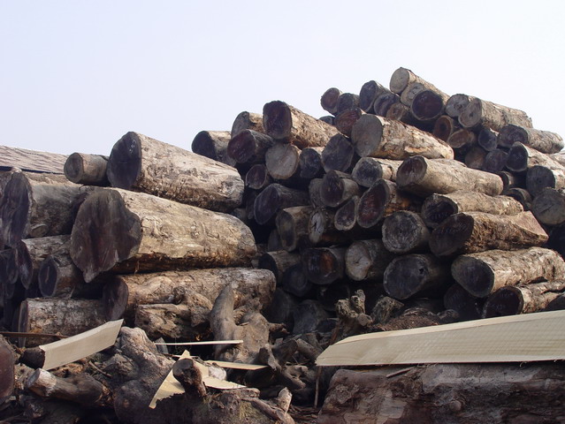 �S���ľ��Ԕ����B