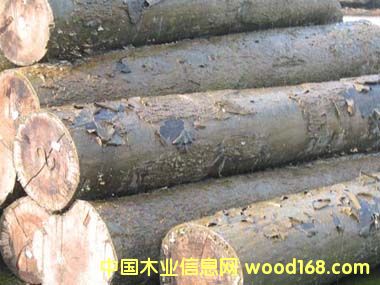 ������������ԭľ��Ԕ����B