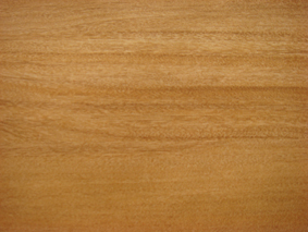 �����ذ��Ԕ����B