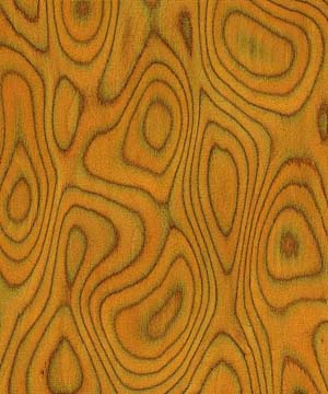 ��ľ�����Ԕ����B