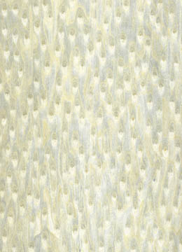 ��؈�۵�Ԕ����B