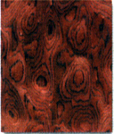 �t�֘����Ԕ����B