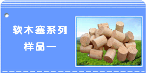 ����Ԕ��(x��)��B