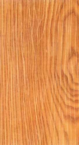 ������ֱ�y����Ԕ����B