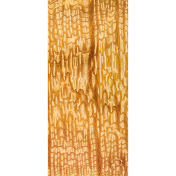 ������Ԕ����B