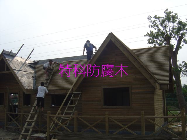 ���ľ�ݵ�Ԕ����B