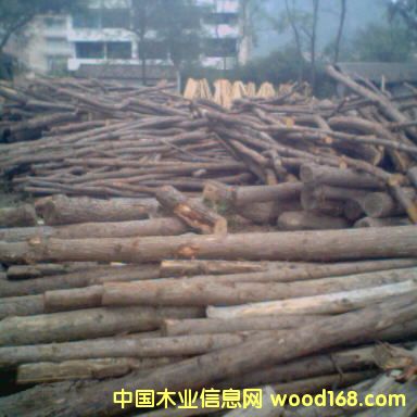 ��ľ��Ԕ��(x��)��B