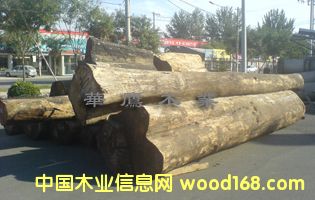 ����ԭľ��Ԕ��(x��)��B