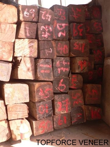 ӡ�����������ں�̴ľ��(�F(xi��n)؛-����)��Ԕ����B