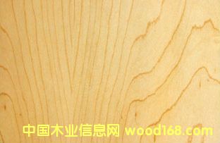 ��ľ�N����Ԕ����B