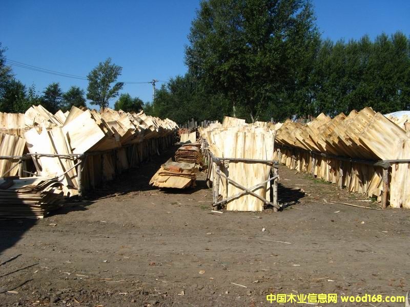 �ΰ����^(q��)��Ԕ��(x��)��B