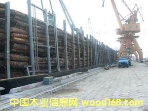 ������ɼ��Ԕ��(x��)��B