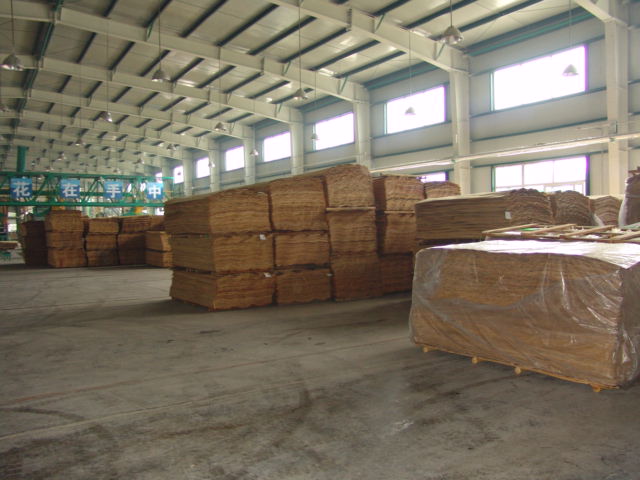 �ח�ľ�ΰ��Ԕ��(x��)��B