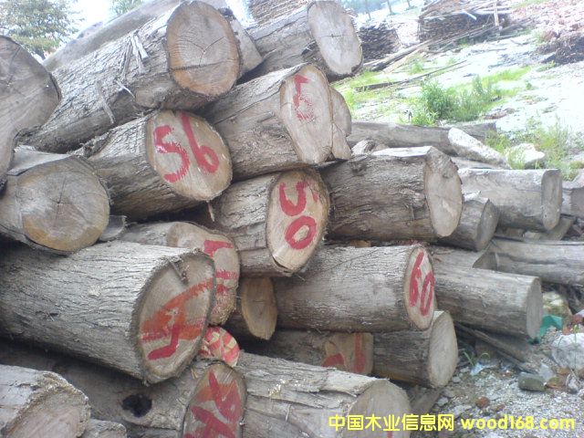 �ϓ���ľ��Ԕ����B