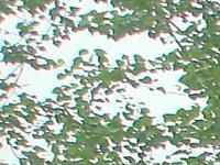 ��ľ��ĵ�Ԕ����B