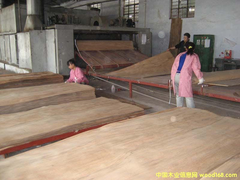 ����ľ�ΰ�