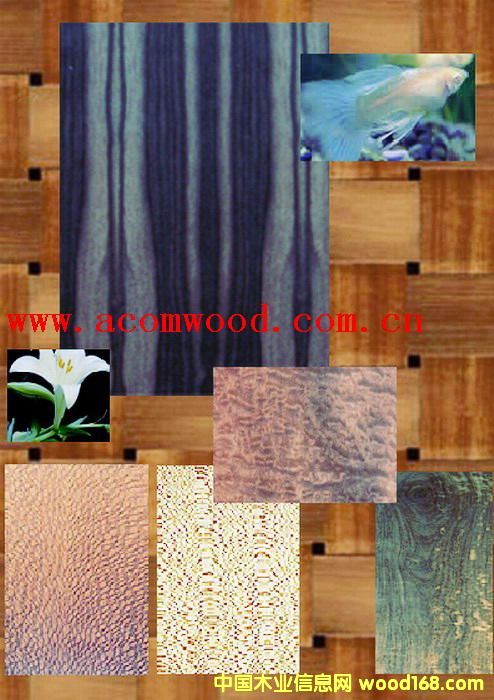 �b���6��Ԕ����B