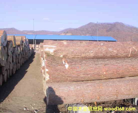 ��ľ����ľ���ľ��Ԕ��(x��)��B