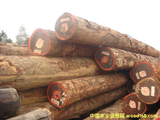 PADOUK�t����