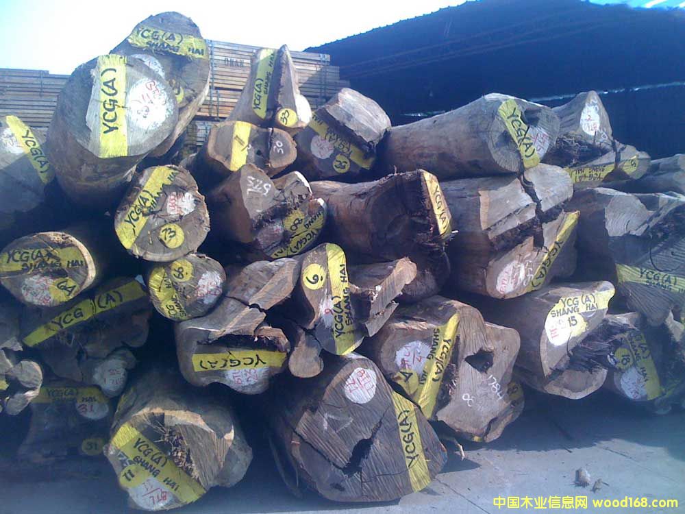 �����u��ľԭľ��Ԕ����B