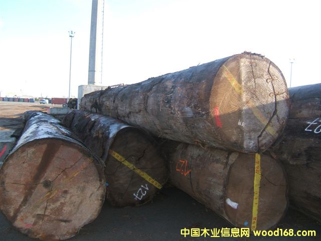 ����(y��ng)�W������Ԕ��(x��)��B