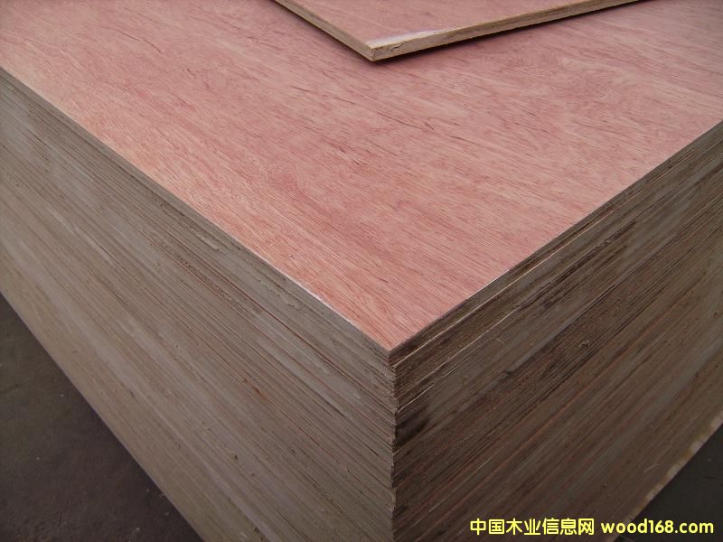 ���ǹ����z�ϰ��Ԕ��(x��)��B