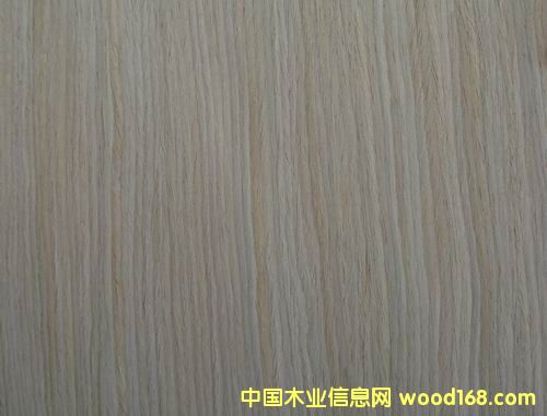 ֱ�y�����Ԕ��(x��)��B