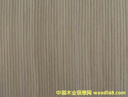 ������ľ��Ԕ��(x��)��B