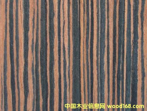 ��̴5#�Ƽ�ľƤ