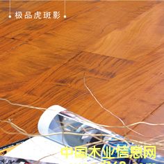 �OƷ����Ӱ ��ؐ��Ԕ����B