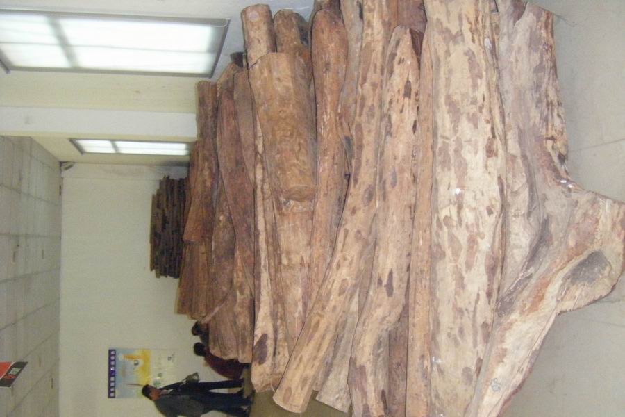 Խ���S����ľ��Ԕ��(x��)��B