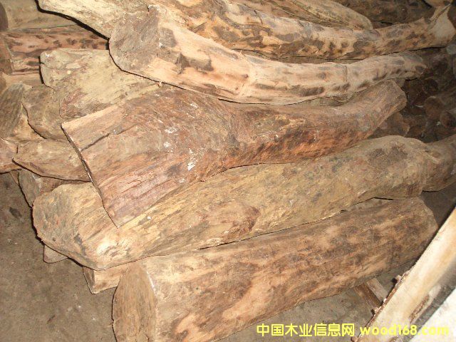 �������֦��Ԕ����B