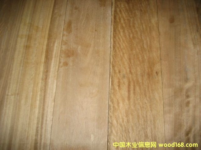 С�~��ذ�����