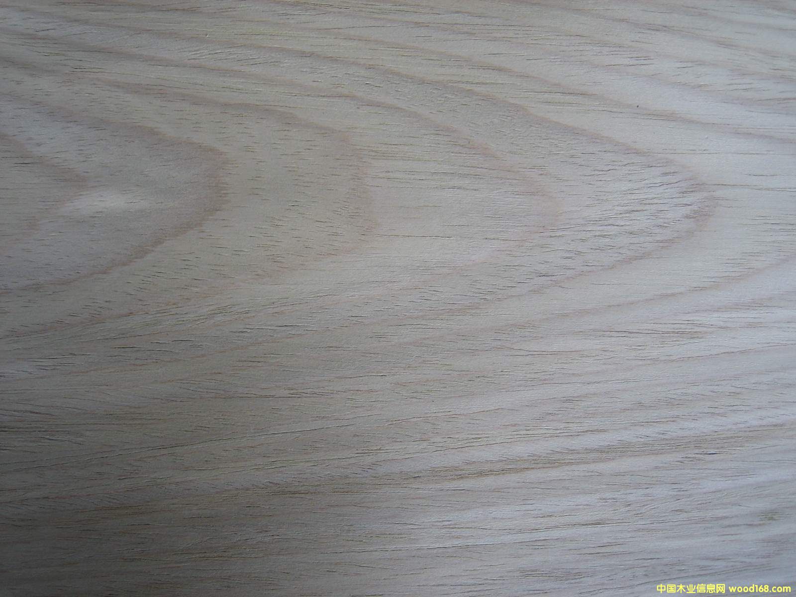 �����Ԕ����B