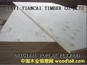 ȫ��ľ���ڰ��b�䌣���z�ϰ��Ԕ����B