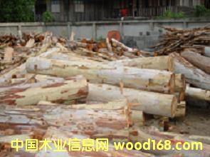 ��ľ��Ԕ��(x��)��B