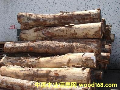 ��ľ��Ԕ��(x��)��B