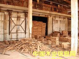 ��ľ��Ԕ��(x��)��B