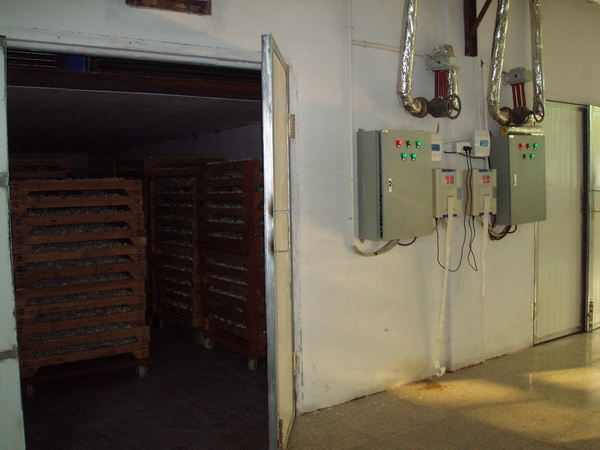 ʳƷ��ɣ��ᚢ�����Ԅ�(d��ng)����ӛ�ϵ�y(t��ng)��Ԕ��(x��)��B